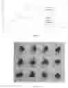 Fig. 05 - CHEESE AND YOGURT LIKE COMPOSITIONS AND RELATED METHODS