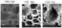 Fig. 34 - BIOCHARS, BIOCHAR EXTRACTS AND BIOCHAR EXTRACTS HAVING SOLUBLE SIGNALING COMPOUNDS AND METHOD FOR CAPTURING MATERIAL EXTRACTED FROM BIOCHAR