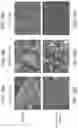 Fig. 41 - BIOCHARS, BIOCHAR EXTRACTS AND BIOCHAR EXTRACTS HAVING SOLUBLE SIGNALING COMPOUNDS AND METHOD FOR CAPTURING MATERIAL EXTRACTED FROM BIOCHAR