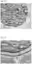 Fig. 28 - SOLID PASTE COMPOSITION FOR COOKING AND METHOD FOR PRODUCING SAME