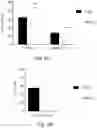 Fig. 08 - FASTING MIMICKING KETOGENIC DIET TO IMPROVE IMMUNE FUNCTION AND VACCINE RESPONSE AND MINIMIZE RISK IN ADULTS AND ELDERLY