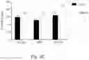Fig. 09 - FASTING MIMICKING KETOGENIC DIET TO IMPROVE IMMUNE FUNCTION AND VACCINE RESPONSE AND MINIMIZE RISK IN ADULTS AND ELDERLY