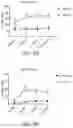 Fig. 10 - FASTING MIMICKING KETOGENIC DIET TO IMPROVE IMMUNE FUNCTION AND VACCINE RESPONSE AND MINIMIZE RISK IN ADULTS AND ELDERLY