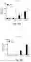 Fig. 13 - FASTING MIMICKING KETOGENIC DIET TO IMPROVE IMMUNE FUNCTION AND VACCINE RESPONSE AND MINIMIZE RISK IN ADULTS AND ELDERLY