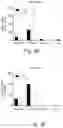 Fig. 15 - FASTING MIMICKING KETOGENIC DIET TO IMPROVE IMMUNE FUNCTION AND VACCINE RESPONSE AND MINIMIZE RISK IN ADULTS AND ELDERLY