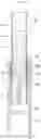 Fig. 10 - Gel Aerosol-Forming Substrate Cartridge that Can be inserted into Electrically Heated Smoking Article, Electrically Heated Smoking Article Including the Same, and Aerosol Generating Device and System Therefor