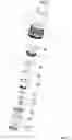 Fig. 08 - ELECTRONIC CIGARETTE