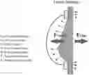 Fig. 01 - External vacuum expander with non-adhesive rim