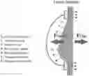 Fig. 01 - Brassiere with slidable rims