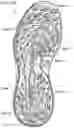 Fig. 19 - Golf shoes having multi-surface traction outsoles