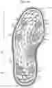 Fig. 45 - Golf shoes having multi-surface traction outsoles