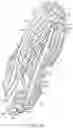 Fig. 46 - Golf shoes having multi-surface traction outsoles