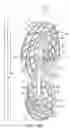 Fig. 47 - Golf shoes having multi-surface traction outsoles