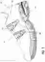 Fig. 02 - ADJUSTABLE CLOSURE SYSTEM FOR AN ARTICLE