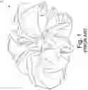 Fig. 02 - Hair Fasteners and Methods of Manufacture Thereof