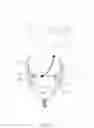 Fig. 04 - MASK RETAINING LANYARD DEVICE