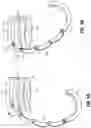 Fig. 05 - ARTICULATING HOOK APPARATUS FOR HANGING AN ARTICLE FROM A VARIETY OF STRUCTURES
