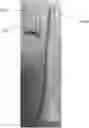 Fig. 01 - BIODEGRADABLE TOOTH BRUSH REPLACEMENT HEAD