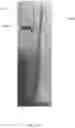 Fig. 05 - BIODEGRADABLE TOOTH BRUSH REPLACEMENT HEAD