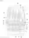 Fig. 06 - Skin care device and operation method therefor