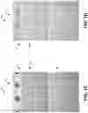 Fig. 03 - Hookless shower curtain with seamless snap-on liner