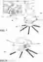 Fig. 07 - Edge cleaning brushes for floor cleaner
