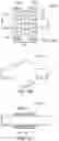 Fig. 15 - ENDOSCOPIC SYSTEMS, DEVICES, AND METHODS FOR PERFORMING IN VIVO PROCEDURES