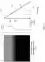Fig. 13 - Videostroboscopy of vocal cords with CMOS sensors