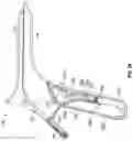 Fig. 06 - ERGONOMICALLY DESIGNED VAGINAL SPECULUM