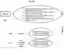 Fig. 03 - CUSTOMIZED ABLATION TO CORRECT VISUAL AMETROPIA