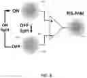 Fig. 09 - REVERSIBLY SWITCHABLE PHOTOACOUSTIC IMAGING SYSTEMS AND METHODS