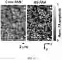 Fig. 12 - REVERSIBLY SWITCHABLE PHOTOACOUSTIC IMAGING SYSTEMS AND METHODS