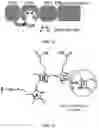 Fig. 13 - REVERSIBLY SWITCHABLE PHOTOACOUSTIC IMAGING SYSTEMS AND METHODS