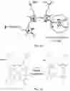 Fig. 14 - REVERSIBLY SWITCHABLE PHOTOACOUSTIC IMAGING SYSTEMS AND METHODS
