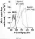 Fig. 15 - REVERSIBLY SWITCHABLE PHOTOACOUSTIC IMAGING SYSTEMS AND METHODS