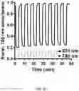 Fig. 20 - REVERSIBLY SWITCHABLE PHOTOACOUSTIC IMAGING SYSTEMS AND METHODS