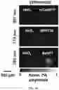 Fig. 23 - REVERSIBLY SWITCHABLE PHOTOACOUSTIC IMAGING SYSTEMS AND METHODS