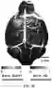 Fig. 28 - REVERSIBLY SWITCHABLE PHOTOACOUSTIC IMAGING SYSTEMS AND METHODS