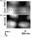 Fig. 31 - REVERSIBLY SWITCHABLE PHOTOACOUSTIC IMAGING SYSTEMS AND METHODS