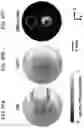 Fig. 44 - REVERSIBLY SWITCHABLE PHOTOACOUSTIC IMAGING SYSTEMS AND METHODS