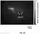 Fig. 50 - REVERSIBLY SWITCHABLE PHOTOACOUSTIC IMAGING SYSTEMS AND METHODS