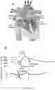 Fig. 07 - NEAR-FIELD COHERENT SENSING METHODS AND SYSTEMS