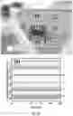 Fig. 27 - NEAR-FIELD COHERENT SENSING METHODS AND SYSTEMS