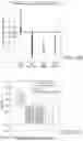 Fig. 29 - MR spectroscopy system and method for diagnosing painful and non-painful intervertebral discs