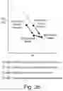 Fig. 05 - IDENTIFICATION AND QUANTIFICATION OF THE DEGREE OF TISSUE HYPOXIA