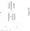 Fig. 12 - SMART CLOTHING FOR SENSING HEART PHYSIOLOGICAL ACTIVITIES AND LUNG RESPIRATORY CONDITIONS