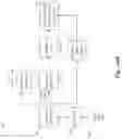 Fig. 14 - System and method for vital signal sensing using a millimeter-wave radar sensor