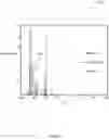 Fig. 07 - SIGNAL AND CORRECTION PROCESSING FOR ANATOMICAL STRUCTURE MAPPING DATA