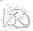 Fig. 06 - MEDICAL MATERIAL
