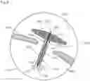 Fig. 08 - MEDICAL MATERIAL